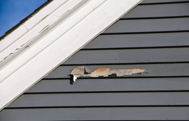 Best Garage Cleanout  in Round Lake Park, IL
