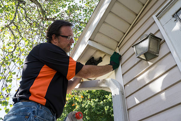 Best Yard Waste Removal  in Round Lake Park, IL
