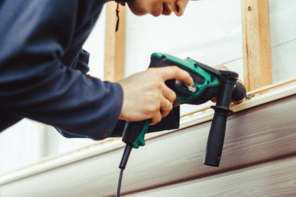 Best Basement Cleanout  in Round Lake Park, IL